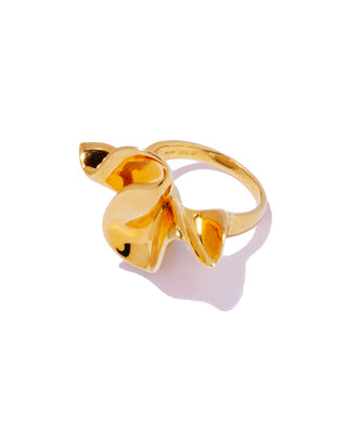 condense ring